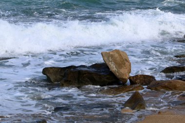 taşlar İsrail'in kuzeyinde Akdeniz kıyısında bir parkta yalan 