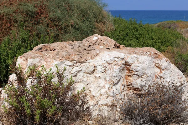 Pierres Trouvent Dans Parc Sur Les Rives Mer Méditerranée Dans — Photo