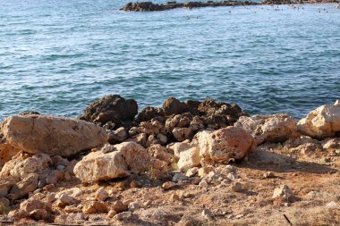 taşlar İsrail'in kuzeyinde Akdeniz kıyısında bir parkta yalan 