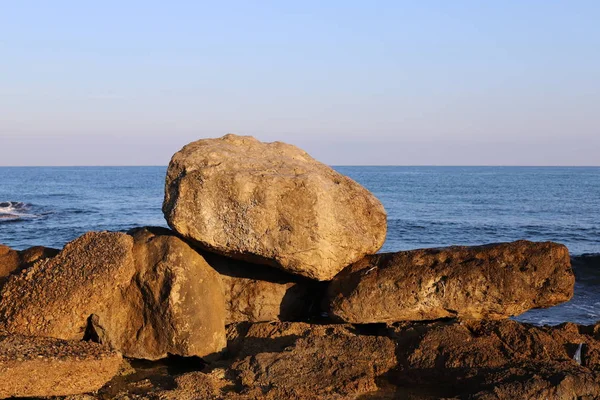 Sten Ligger Park Ved Middelhavets Kyster Det Nordlige Israel - Stock-foto