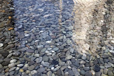 taşlar İsrail'in kuzeyinde Akdeniz kıyısında bir parkta yalan 