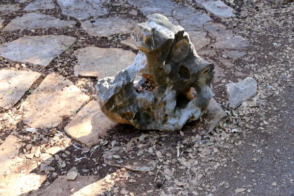 Steine Liegen Einem Park Ufer Des Mittelmeeres Norden Israels — Stockfoto