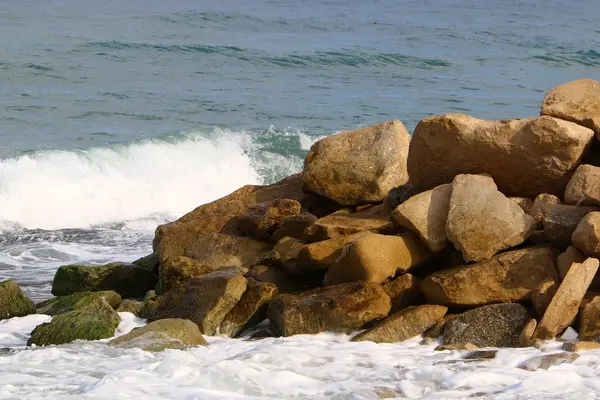 Piedras Encuentran Parque Orillas Del Mar Mediterráneo Norte Israel —  Fotos de Stock