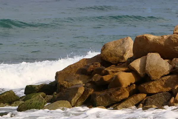 石はイスラエルの北の地中海の海岸の公園に横たわっている — ストック写真