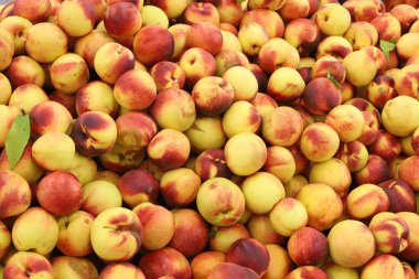 İsrail 'in kuzeyindeki Acre şehrindeki bir pazarda meyve ve sebze satılıyor. 