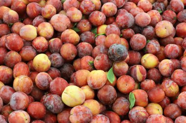 İsrail 'in kuzeyindeki Acre şehrindeki bir pazarda meyve ve sebze satılıyor. 