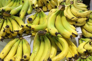 İsrail 'in kuzeyindeki Acre şehrindeki bir pazarda meyve ve sebze satılıyor. 