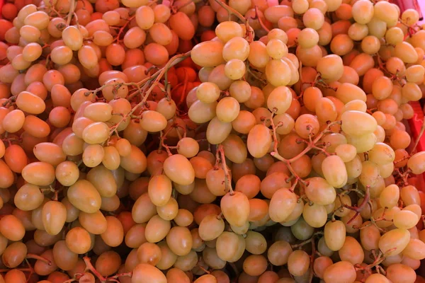 İsrail 'in kuzeyindeki Acre şehrindeki bir pazarda meyve ve sebze satılıyor. 