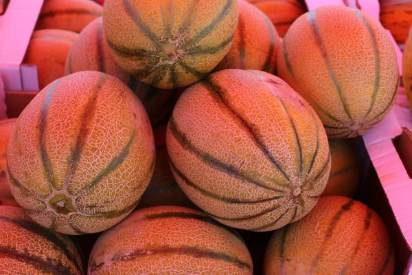 Fruits Légumes Vendus Dans Bazar Ville Acre Dans Nord Israël — Photo