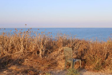 Bir sandalye İsrail'in kuzeyinde Akdeniz kıyılarında duruyor 
