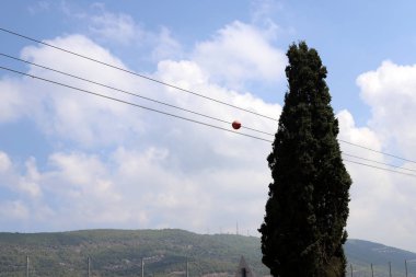 İsrail'in kuzeyinde akım taşıyan elektrik direği ve teller 