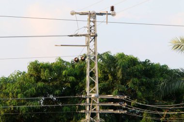 İsrail'in kuzeyinde akım taşıyan elektrik direği ve teller 