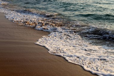 İsrail'in kuzeyinde Akdeniz'in kumlu kıyıları 