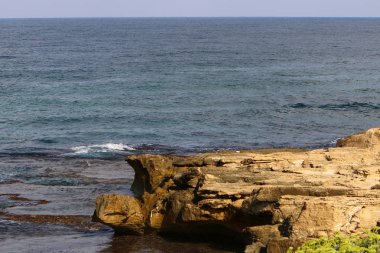 İsrail'in kuzeyinde Akdeniz'in kumlu kıyıları 