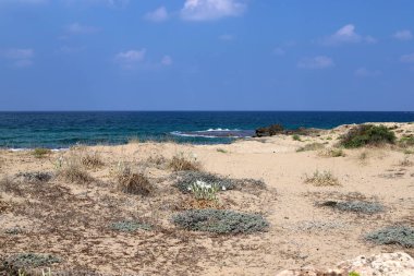 İsrail'in kuzeyinde Akdeniz'in kumlu kıyıları 