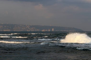 İsrail'in kuzeyinde Akdeniz'in kumlu kıyıları 