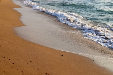 İsrail'in kuzeyinde Akdeniz'in kumlu kıyıları 