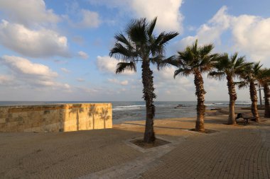 İsrail'in kuzeyinde Akdeniz'in kumlu kıyıları 