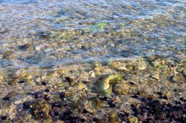 İsrail'in kuzeyinde Akdeniz'in kumlu kıyıları 