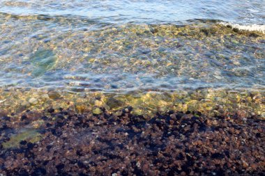 İsrail'in kuzeyinde Akdeniz'in kumlu kıyıları 