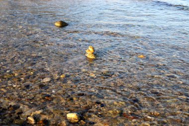 İsrail'in kuzeyinde Akdeniz'in kumlu kıyıları 