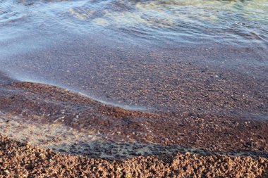 İsrail'in kuzeyinde Akdeniz'in kumlu kıyıları 