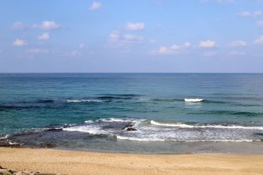 İsrail'in kuzeyinde Akdeniz'in kumlu kıyıları 