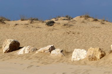 İsrail'in kuzeyinde Akdeniz'in kumlu kıyıları 