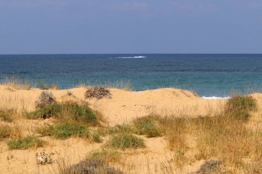 İsrail'in kuzeyinde Akdeniz'in kumlu kıyıları 
