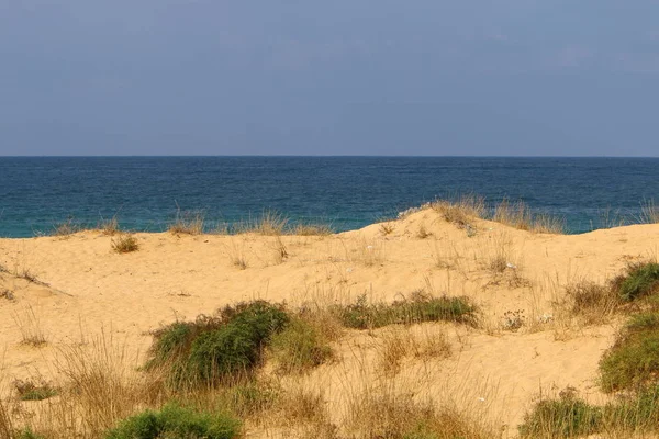 Costa Sabbiosa Del Mar Mediterraneo Nel Nord Israele — Foto Stock