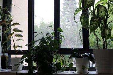 Pencere - duvarda bir diyafram, odaya ışık girişi ve havalandırma için kullanılan. 