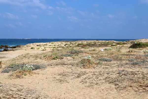 이스라엘 국가의 북쪽에있는 지중해의 해안에 — 스톡 사진