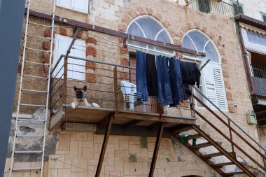 Mimaride balkon, duvardan çıkıntılı kirişler üzerine monte edilmiş, korkuluklu bir platformdur.. 