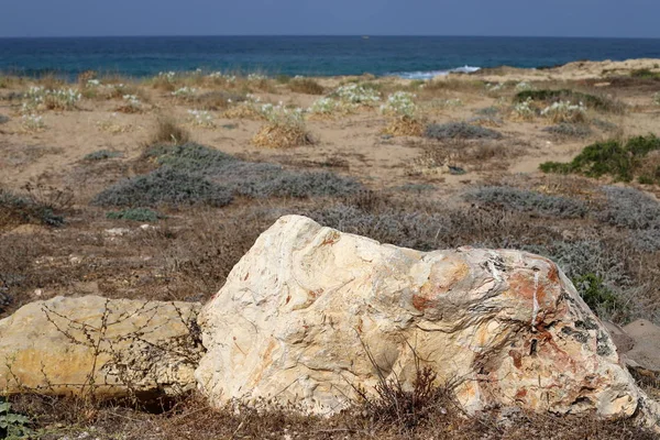 Pietre Trovano Parco Sulle Rive Del Mar Mediterraneo Nel Nord — Foto Stock