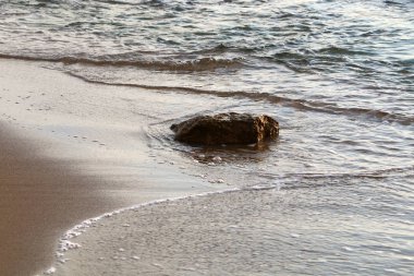 taşlar İsrail'in kuzeyinde Akdeniz kıyısında bir parkta yalan 