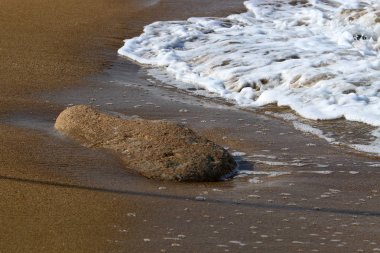 taşlar İsrail'in kuzeyinde Akdeniz kıyısında bir parkta yalan 