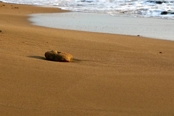 Piedras Encuentran Parque Orillas Del Mar Mediterráneo Norte Israel — Foto de Stock