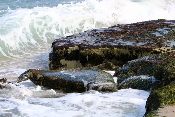 Piedras Encuentran Parque Orillas Del Mar Mediterráneo Norte Israel —  Fotos de Stock
