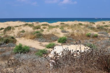 taşlar İsrail'in kuzeyinde Akdeniz kıyısında bir parkta yalan 