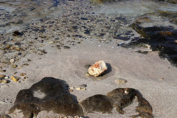 Pedras Encontram Parque Nas Margens Mar Mediterrâneo Norte Israel — Fotografia de Stock