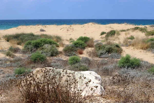 Pedras Encontram Parque Nas Margens Mar Mediterrâneo Norte Israel — Fotografia de Stock