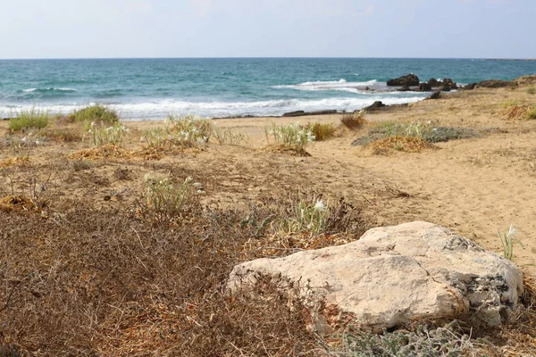 Pedras Encontram Parque Nas Margens Mar Mediterrâneo Norte Israel — Fotografia de Stock