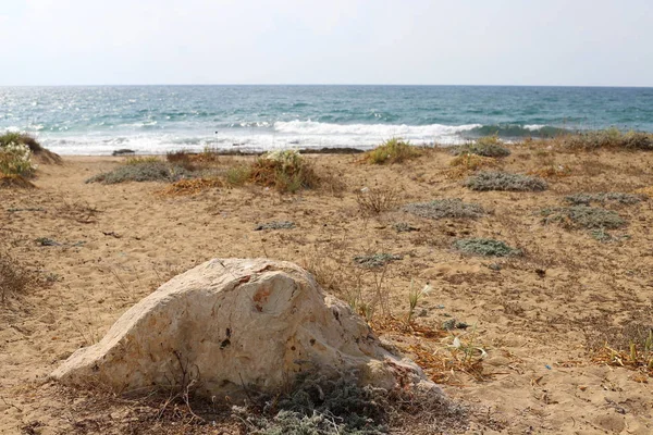 Pietre Trovano Parco Sulle Rive Del Mar Mediterraneo Nel Nord — Foto Stock