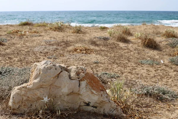 Pedras Encontram Parque Nas Margens Mar Mediterrâneo Norte Israel — Fotografia de Stock