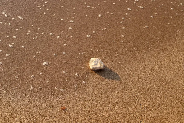 Kameny Leží Parku Březích Středozemního Moře Severu Izraele — Stock fotografie