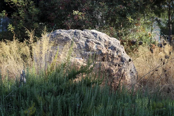 Piedras Encuentran Parque Orillas Del Mar Mediterráneo Norte Israel —  Fotos de Stock