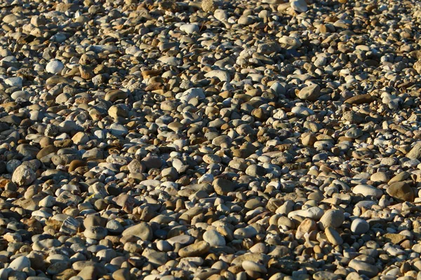 Pedras Encontram Parque Nas Margens Mar Mediterrâneo Norte Israel — Fotografia de Stock