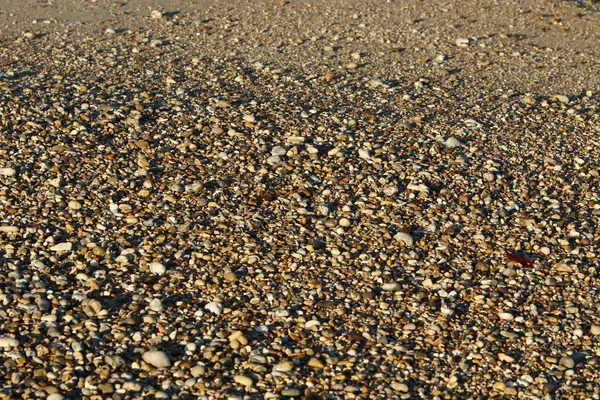 Pierres Trouvent Dans Parc Sur Les Rives Mer Méditerranée Dans — Photo