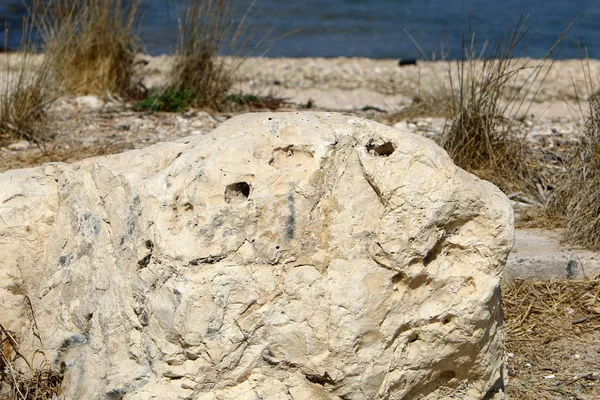 Stenarna Ligger Park Vid Medelhavets Strand Norra Israel — Stockfoto