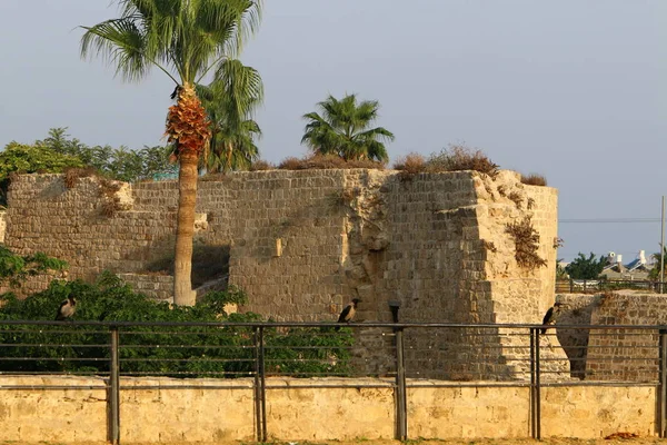 Edificios Estructuras Antigua Fortaleza Cruzada Ciudad Acre Orillas Del Mar — Foto de Stock